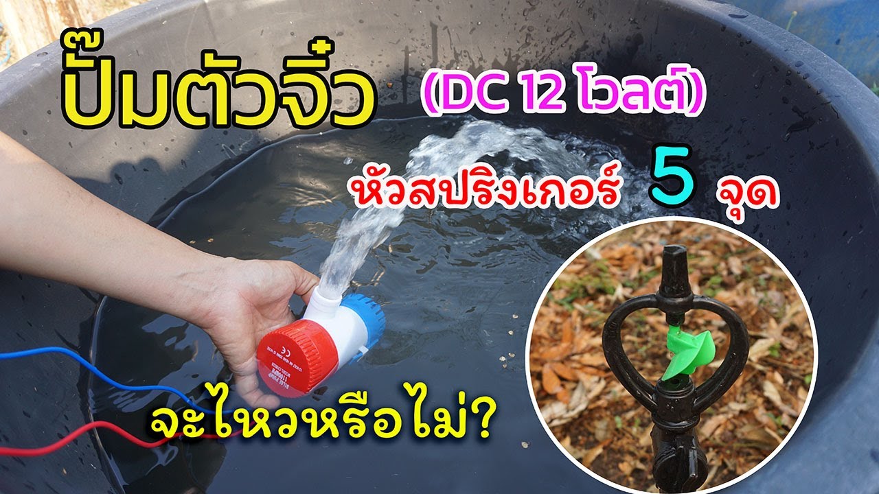 ทดสอบปั๊มตัวจิ๋ว ( DC 12 โวลต์ ) ต่อตรงกับเเบตเตอร์รี่ 12 โวลต์ จะดันหัวสปริงเกอร์ 5 จุดไหวหรือไม่?