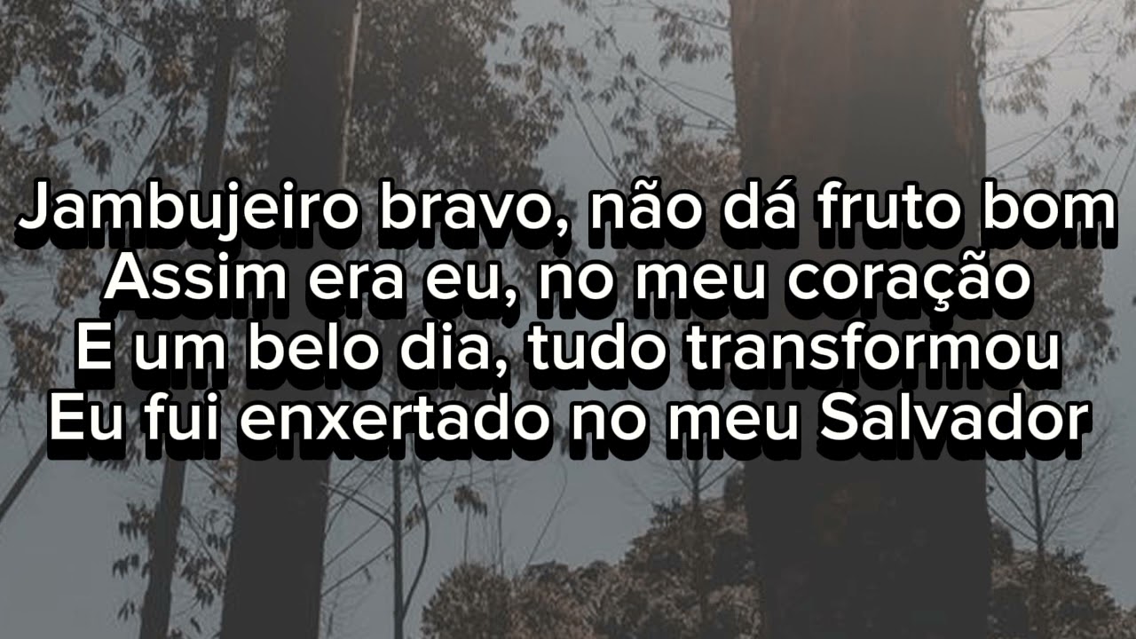 Playback legendado OLIVEIRA VERDADEIRA (Gerson Rufino)