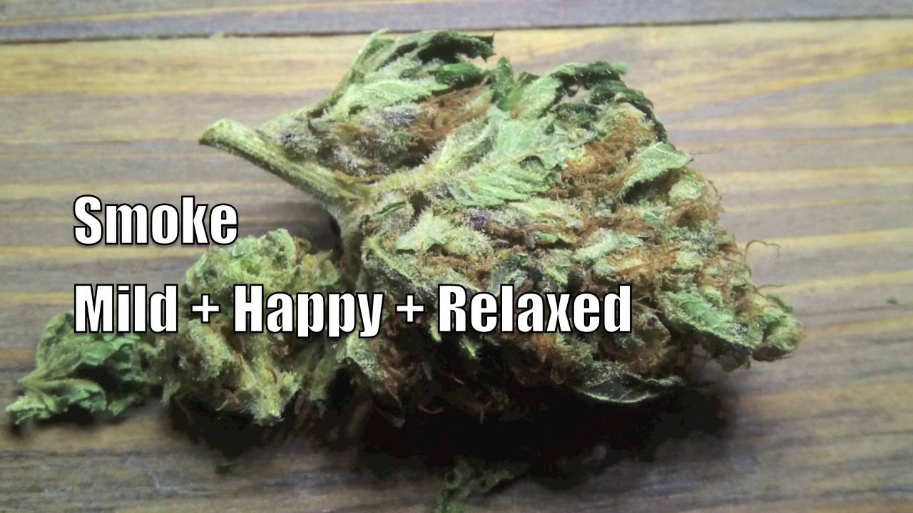 Kandy Kush Review * Cannabis * Weed * Strain *