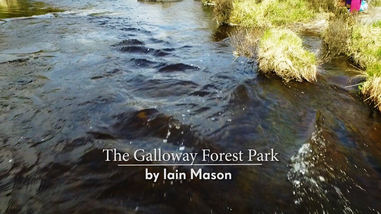 Galloway Forest - Clatteringshaws Dam - From the air