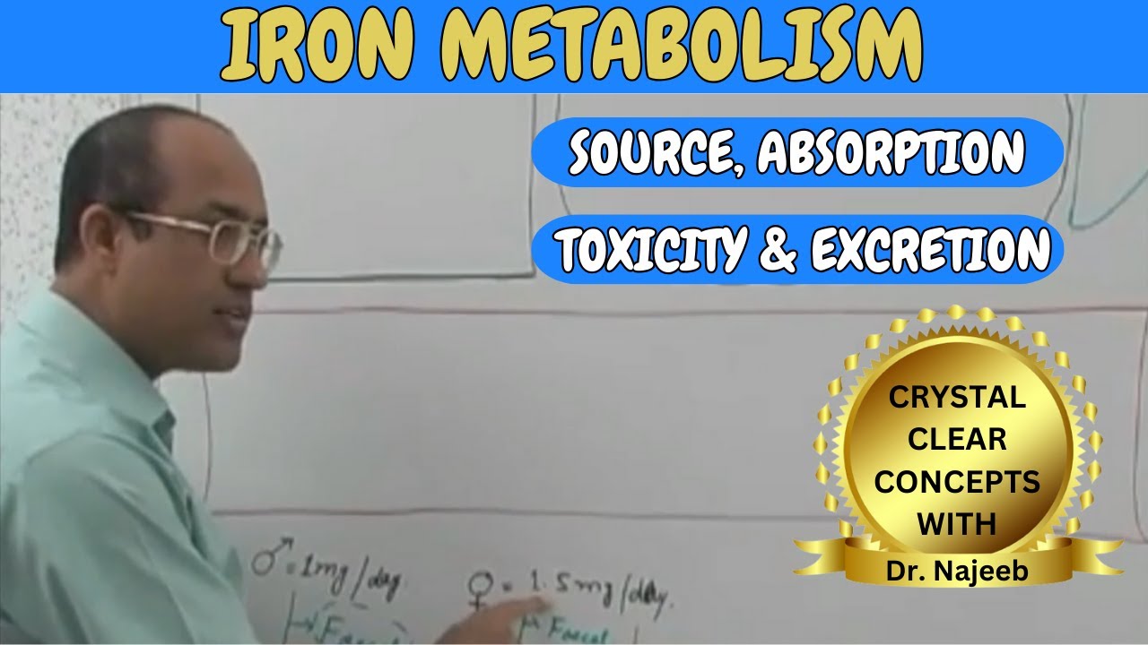 Iron Metabolism | Source | Absorption | Toxicity and Excretion🩺
