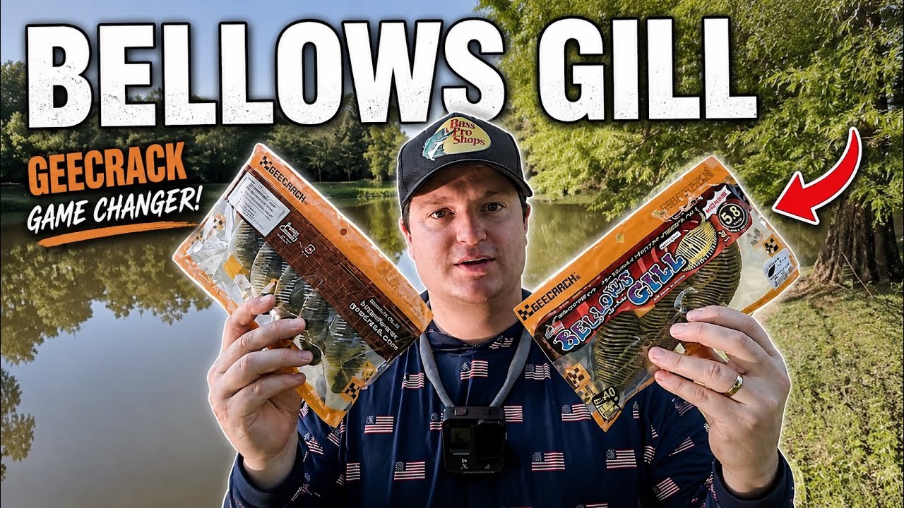 Fishing with the Geecrack Bellows Gill! (Review and First Impressions!)