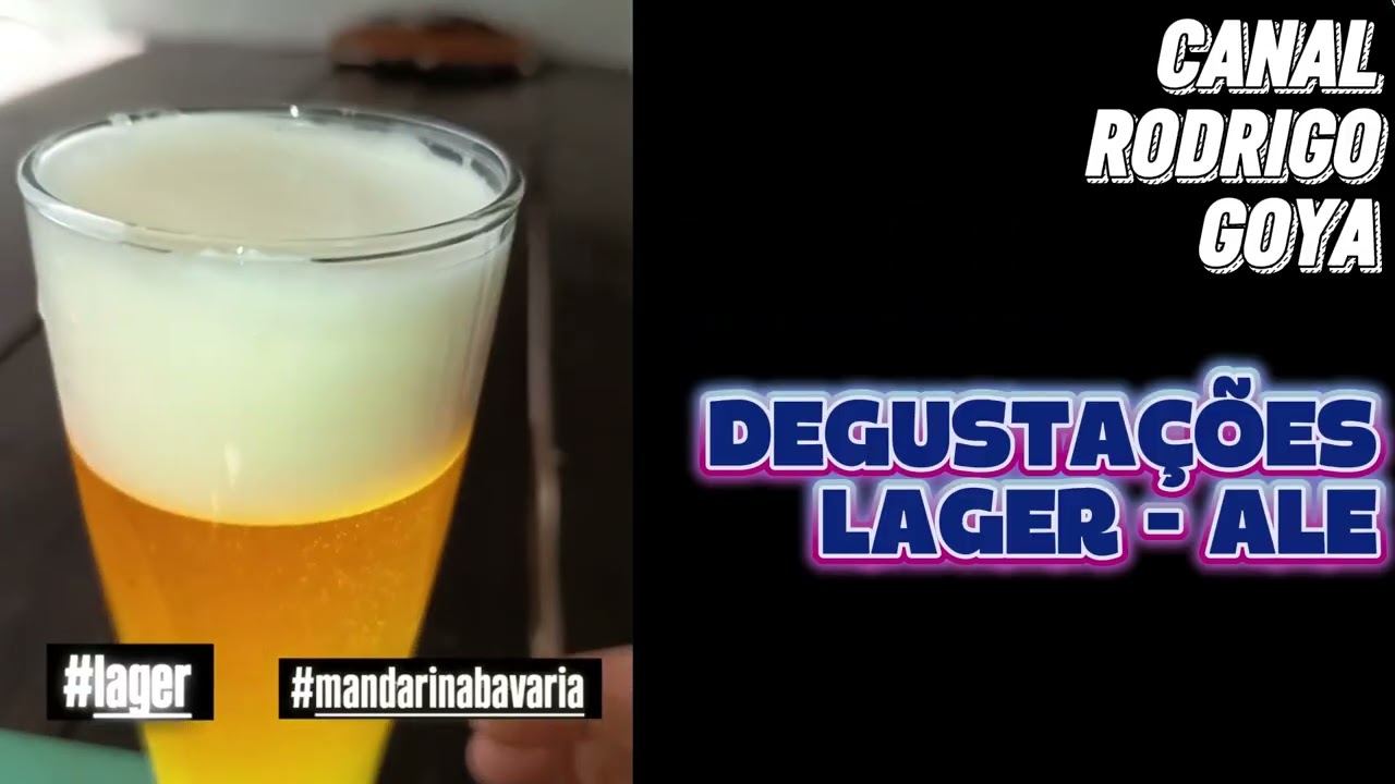 1 GELADEIRA FERMENTANDO LAGER & ALE -SINGLE MALTE PILSEN SINGLE HOP MANDARINA BAVARIA - RODRIGO GOYA