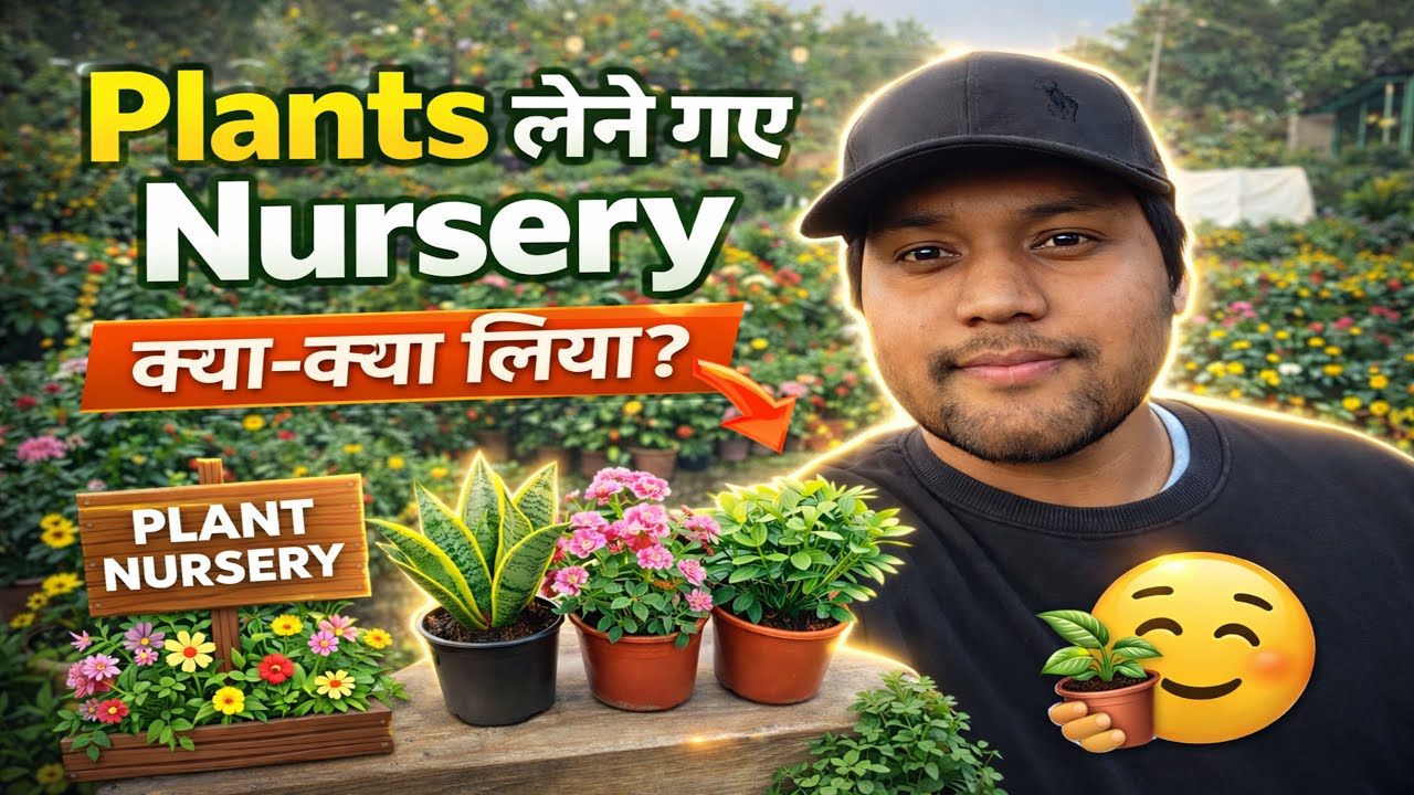 Plants Shopping 🌱 | Nursery Visit | Daily Life Vlog