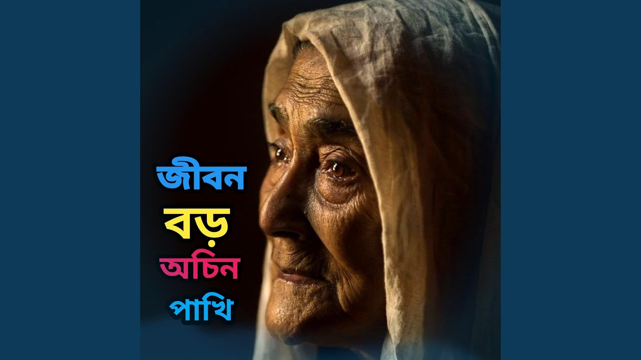 O re jibon boro ochin pakhi