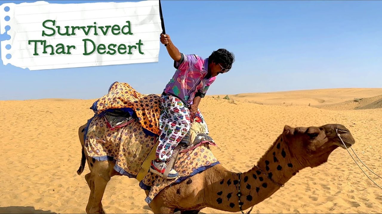 Survived Thar Desert | Luxury Stay at Sam Sand Dunes 🐪 Private Pool Cabana Tents | Jaisalmer | Camel