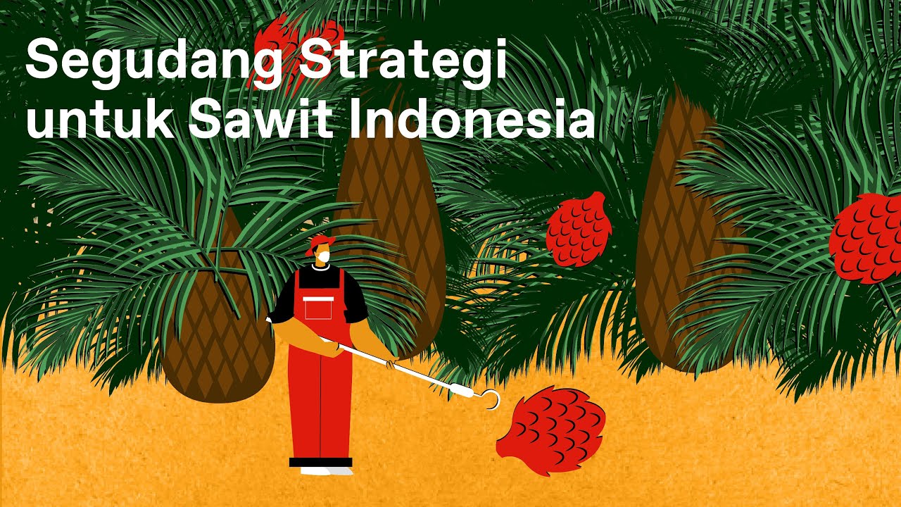 PTPN V: Serba Serbi Industri Kelapa Sawit Indonesia