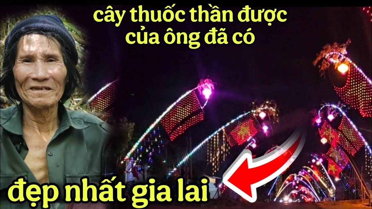 BẤT NGỜ TIN VUI trước tết với mọi người.CÂY THUỐC của cụ ông TÓC ĐEN 90 tuổi đã có rồi.