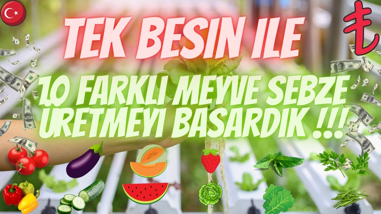 İNANDIK BAŞARDIK !!! SERAMIZDA TAM 10 FARKLI ÜRÜNÜ AYNI ANDA YETİŞTİRDİK !! TEK BESİN TEK DEPO!!!!!!