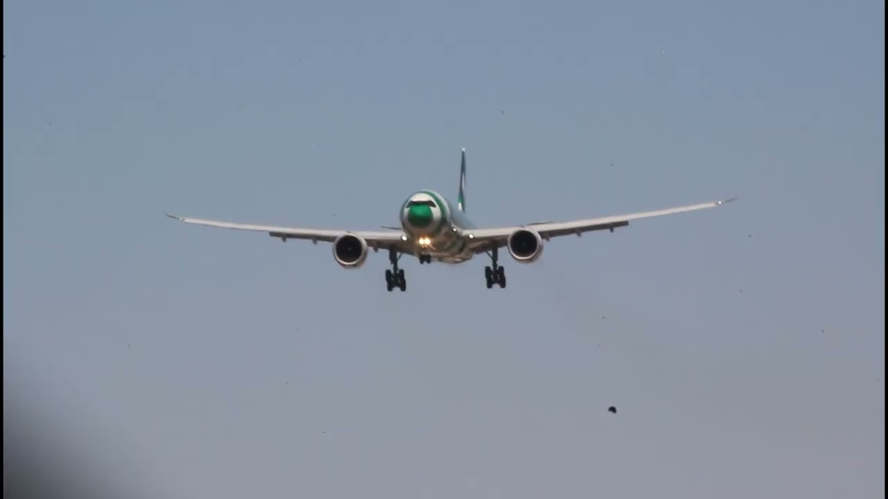 Condor Airbus A330-941 🇩🇪 FRA - LAS