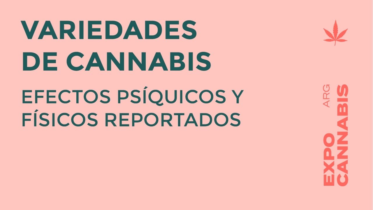 Dra. Carla PALLAVICINI | Variedades de Cannabis: Efectos y Reportes de Usuarios - Expo Cannabis 2019