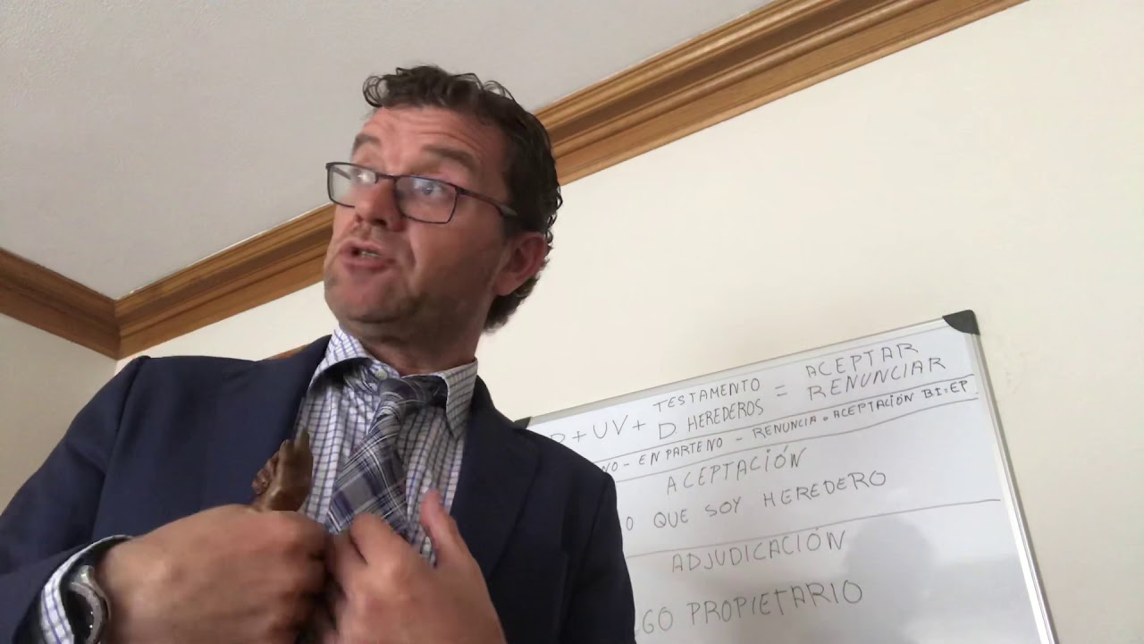 TRÁMITES SUCESORIOS V : ADJUDICACIÓN DE LOS BIENES