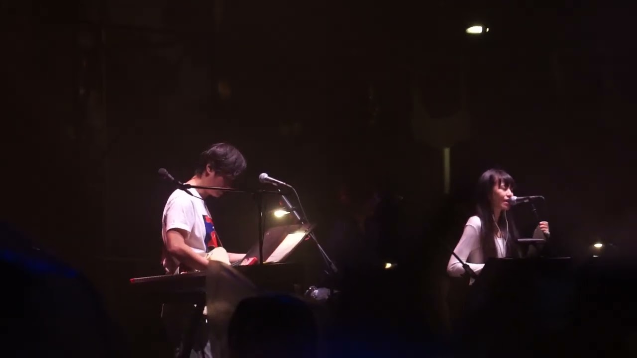 my little airport - 迷人的頸巾 Live 2024.11.15 首場