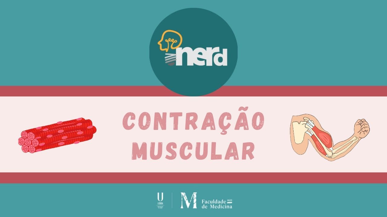 iNerd: Fisiologia da Contra&ccedil;&atilde;o Muscular