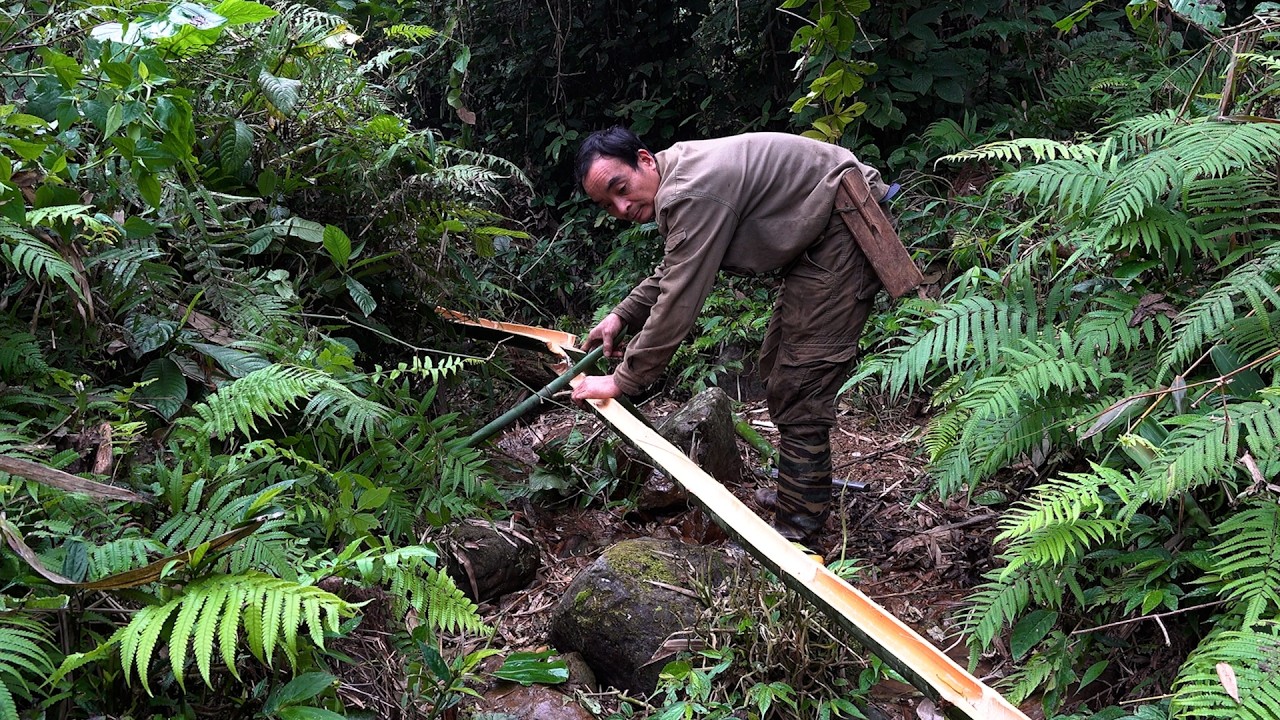 Building a bamboo water system for the farm | 365 Days of Survival in the Deep Forest | Episode 15