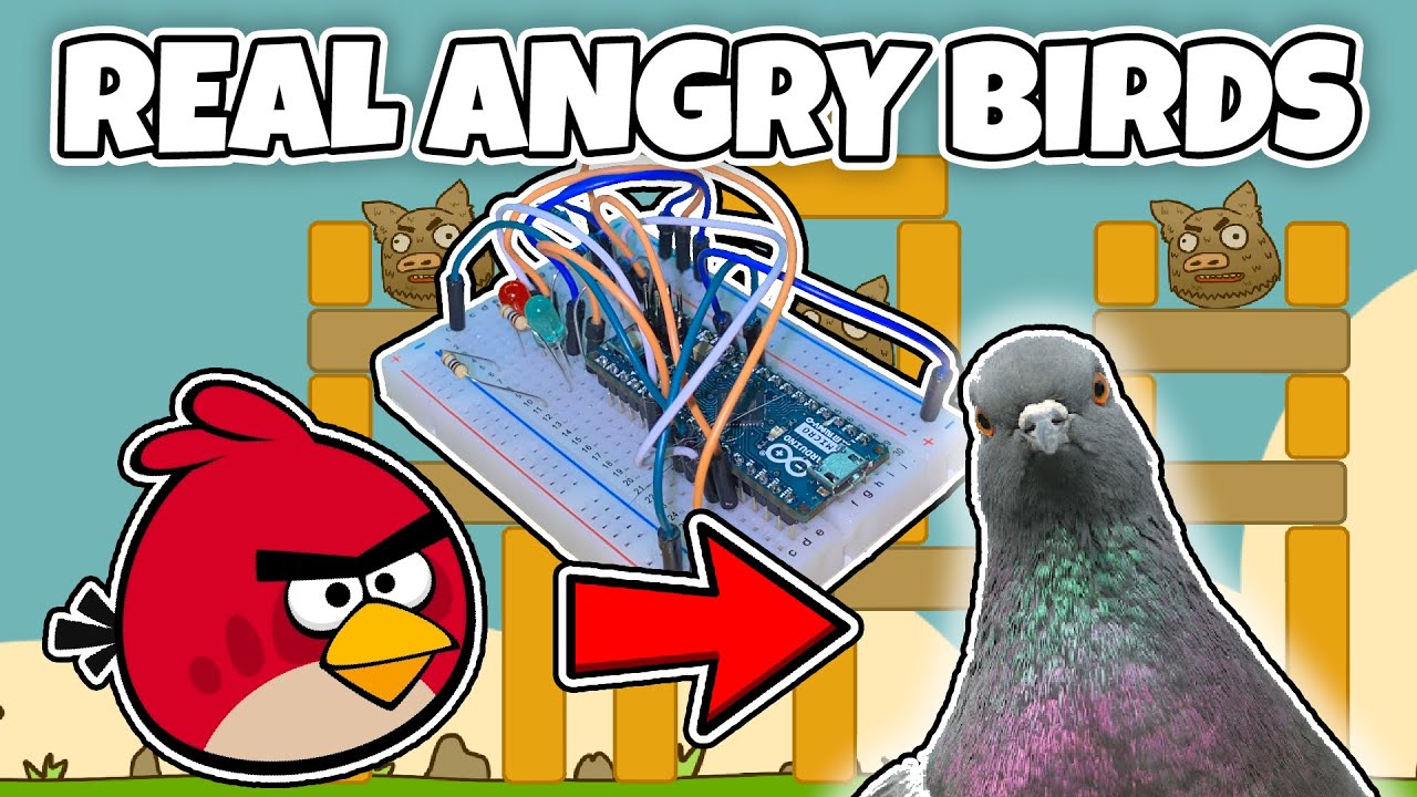 I Built a Game Controller for Birds (and went insane doing it)