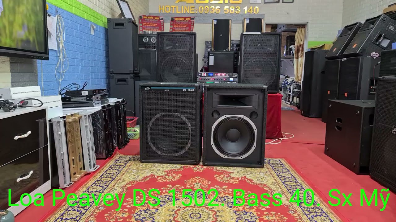 Loa Peavey DS 1502. Bass 40. Made in USA. Đt 0936.583.140
