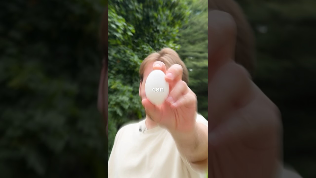 I Tried an Egg Drop from 100 Feet