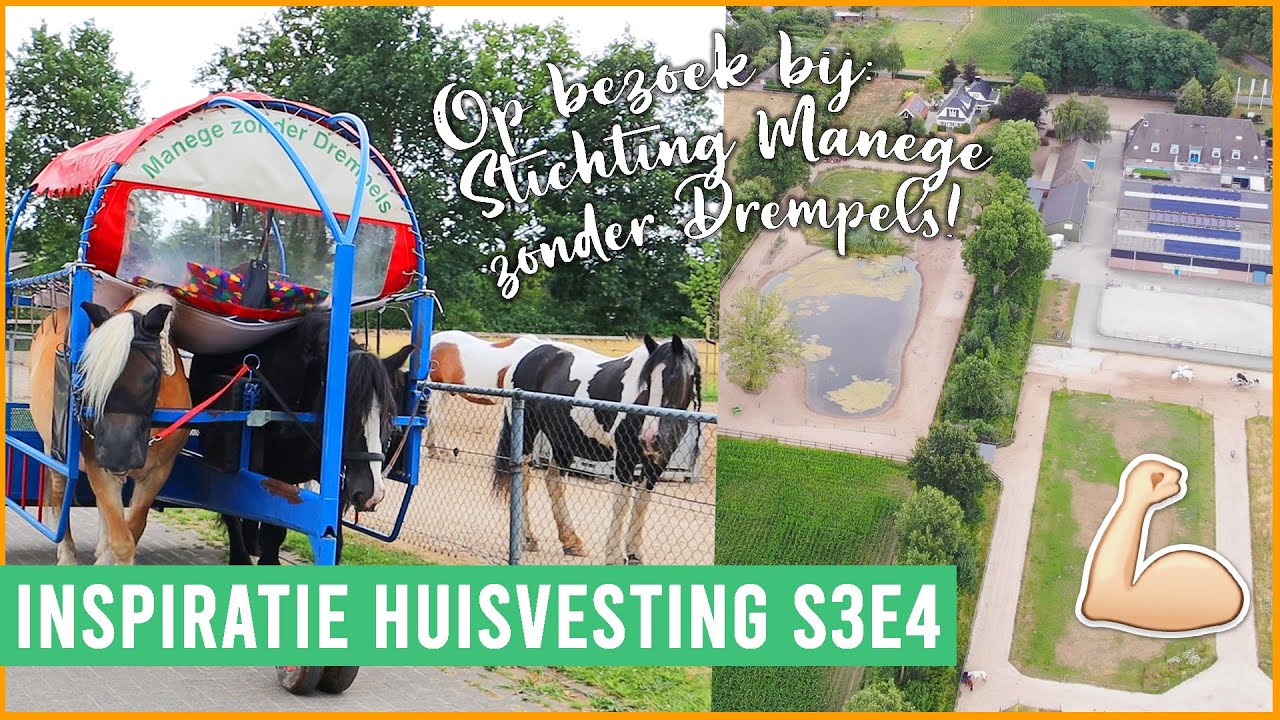 Deze paarden helpen mensen met een beperking! | felinehoi INSPIRATIE HUISVESTING S3E4