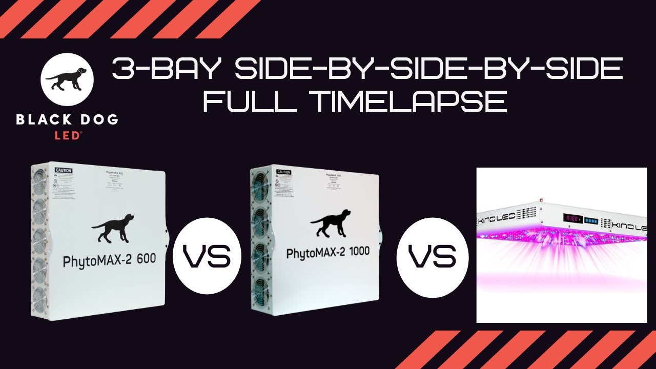 Black Dog LED vs. KIND LED 3-Bay 4X4 Side-by-Side-by-Side Full Timelapse Video