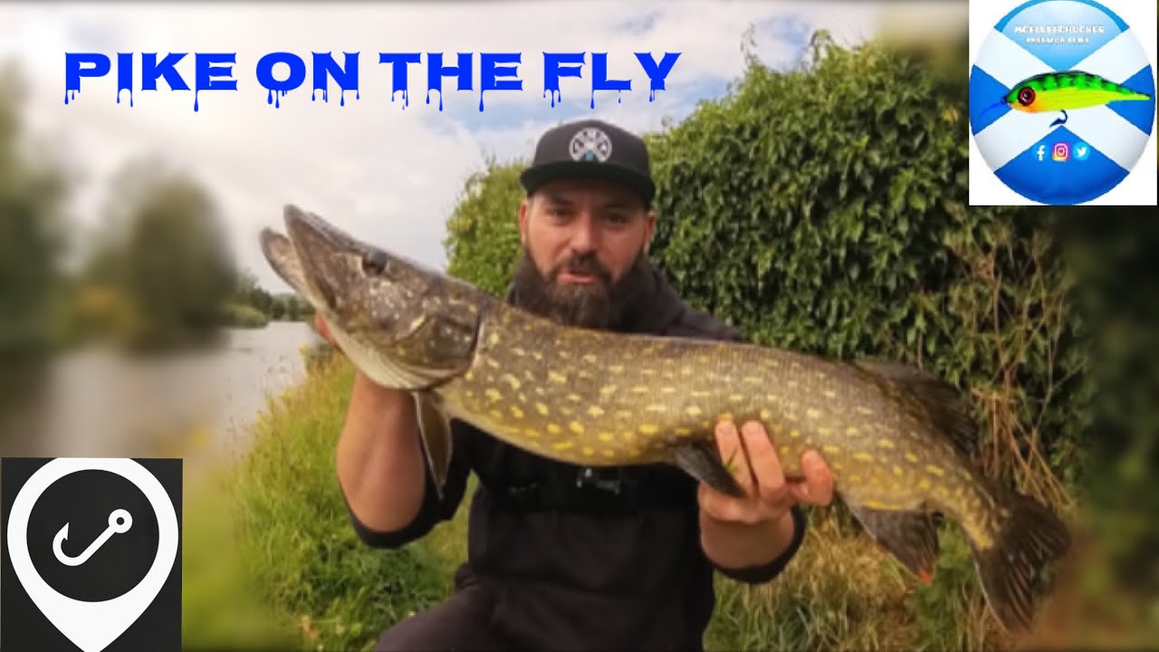 JIGFLY PIKE fishing 🪰 #pike #fishing #fly  @mcfluffchucker