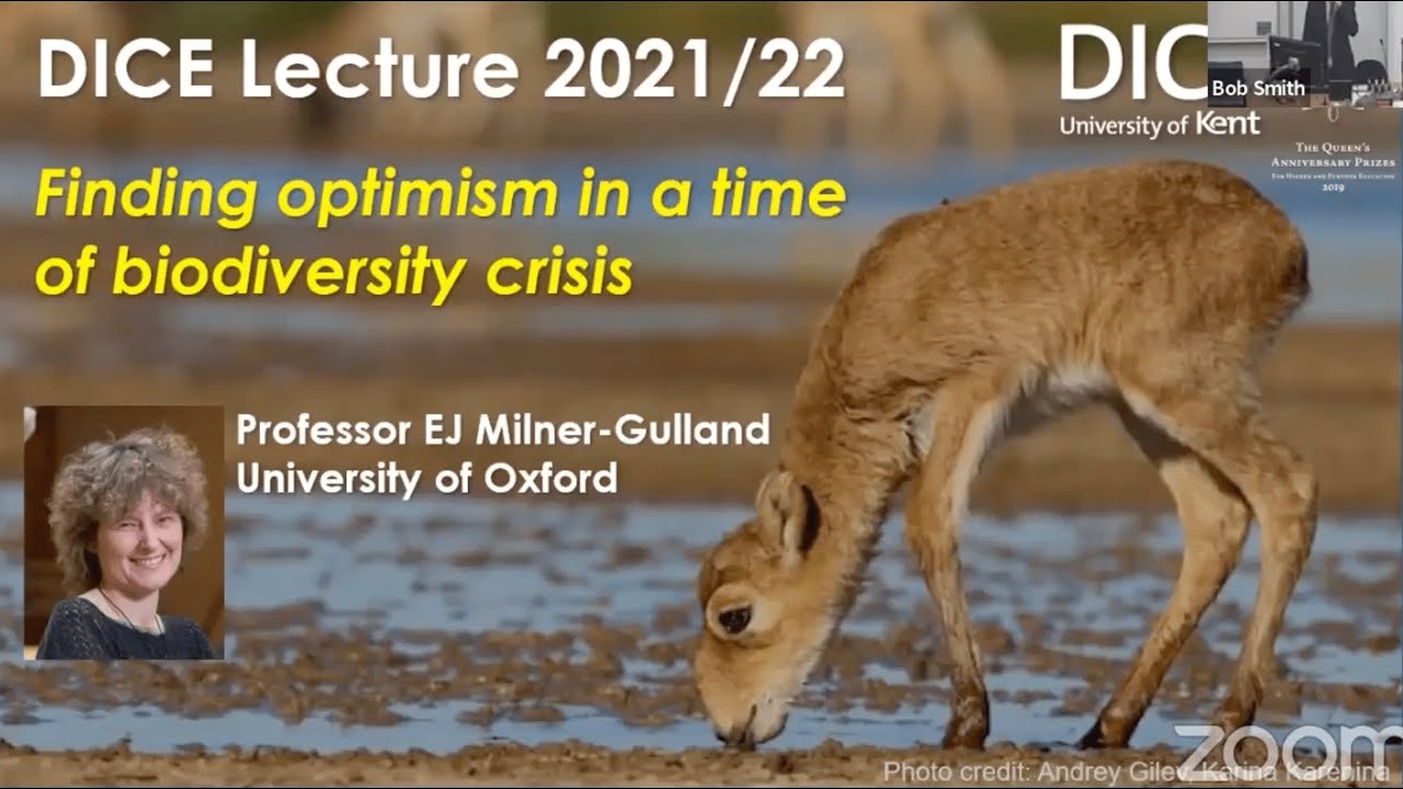 Finding optimism in a time of biodiversity crisis | Prof. Dame EJ Milner-Gulland | From the Archive