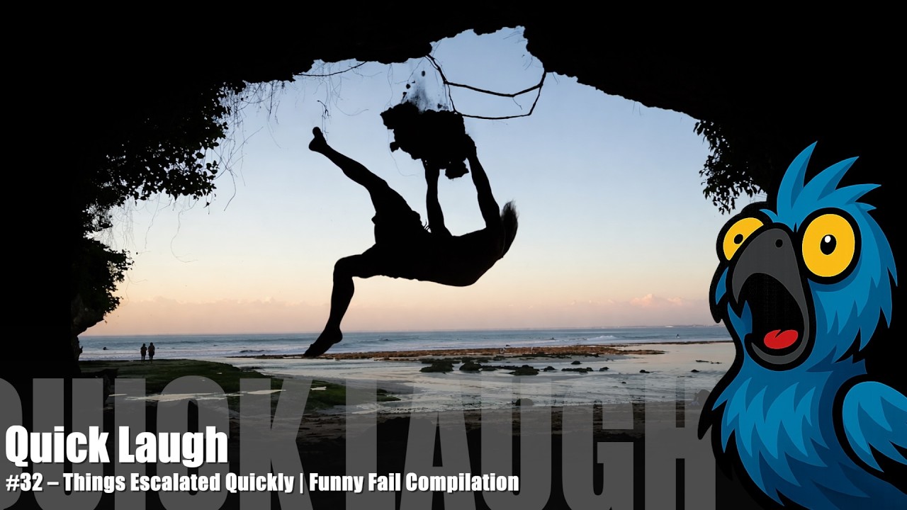 Quick Laughs #32 – Things Escalated Quickly | Funny Fail Compilation