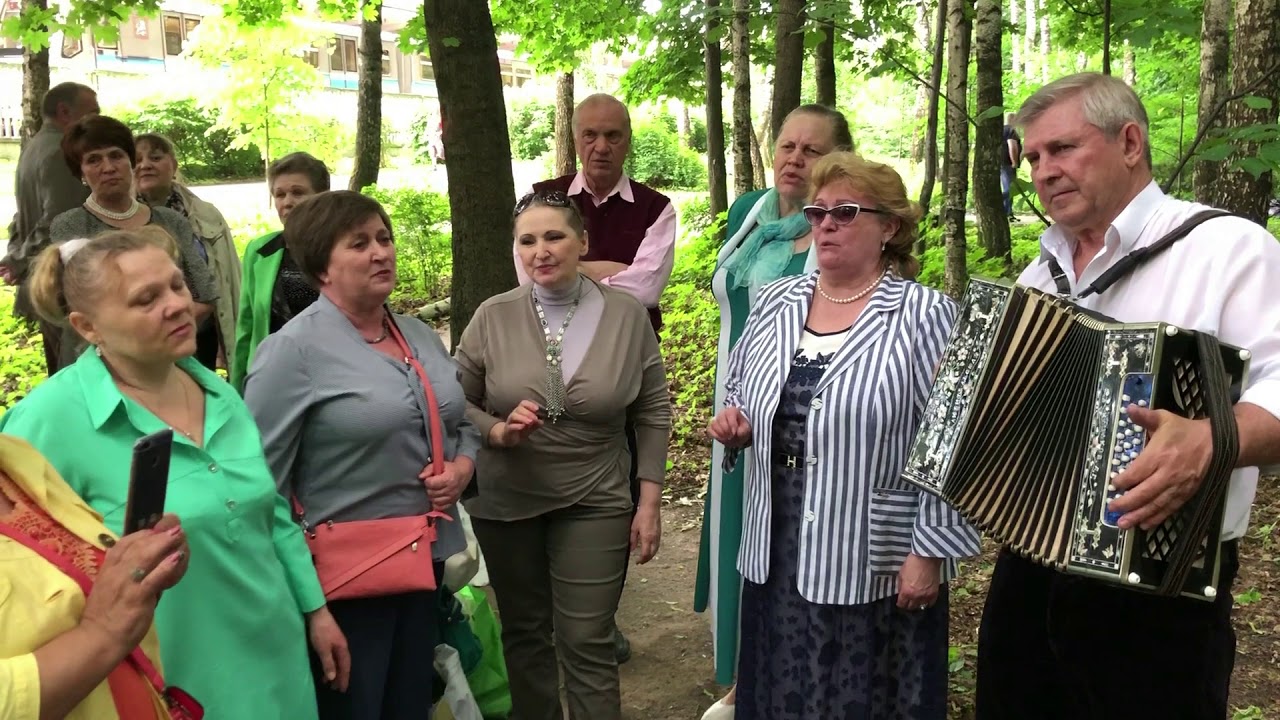 Называют меня не красивою. С гармонью по жизни!