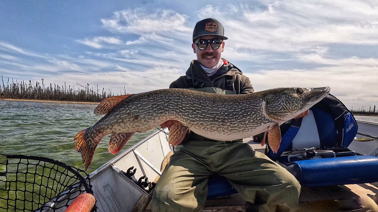 Sight Fishing Pike With A Drone