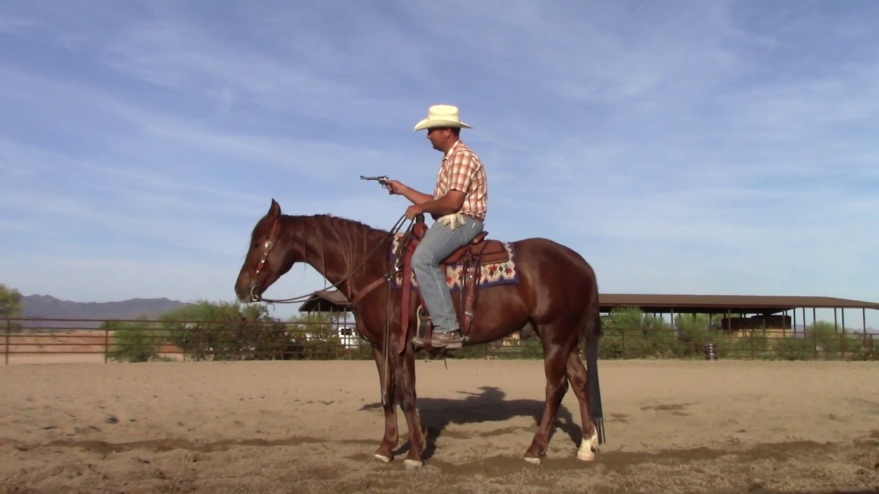 Shine Gemini Shine 4 year old mounted shooting