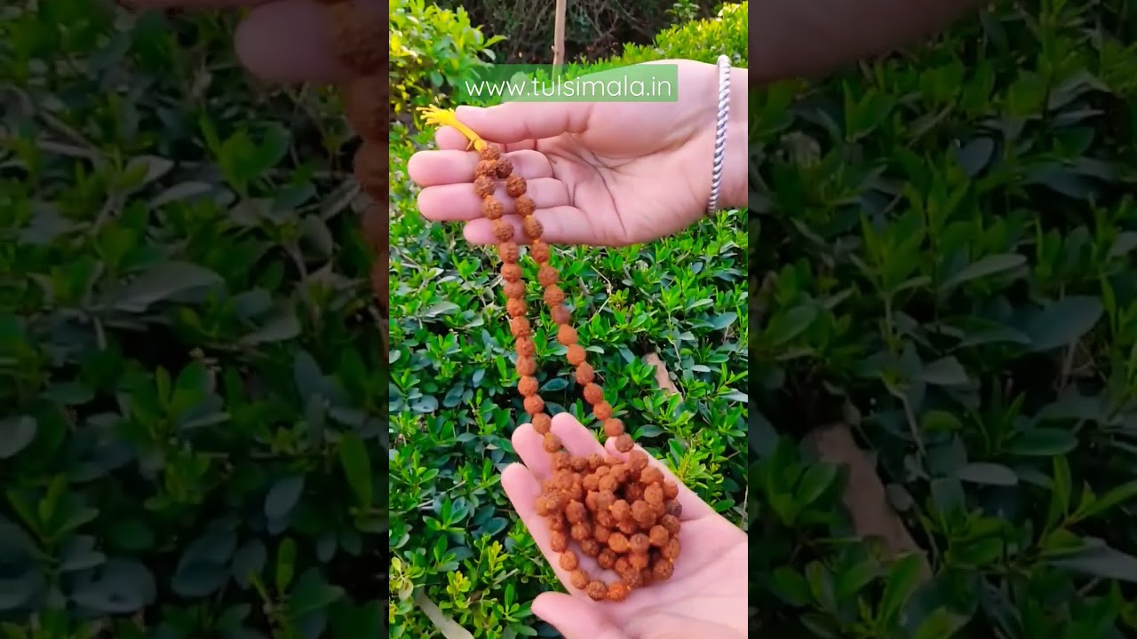 | Rudraksha Japa Mala 108 Beads | www.tulsimala.in Vrindavan What'sApp No. +91 9311360716