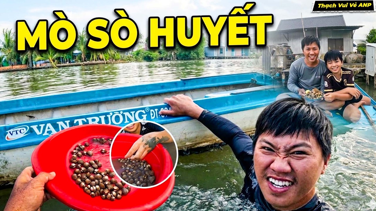 Sóng Gió Không Đi Câu, 2 Cha Con Rủ Nhau Mò Sò Huyết Và Cái Kết - Thạch Vui Vẻ ANP