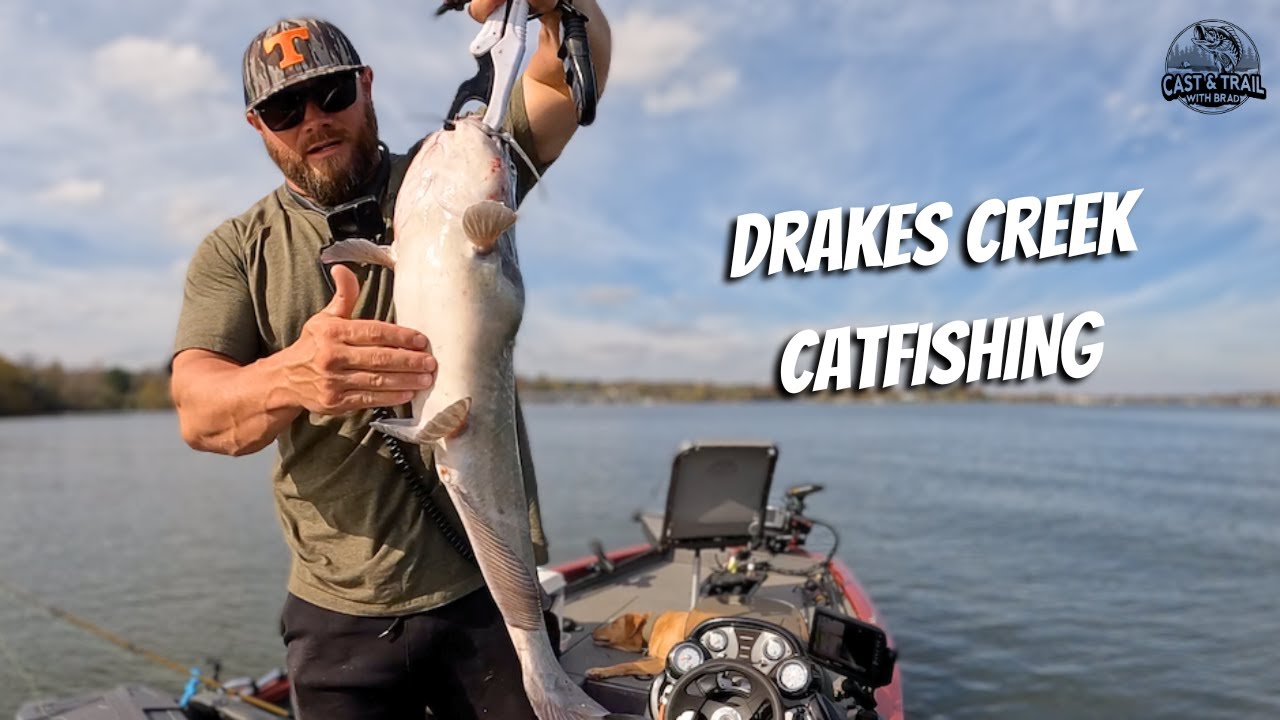 Drakes Creek Catfish Adventure: Back-to-Back Hookups! | November 2024 | #catfishing  #fishing