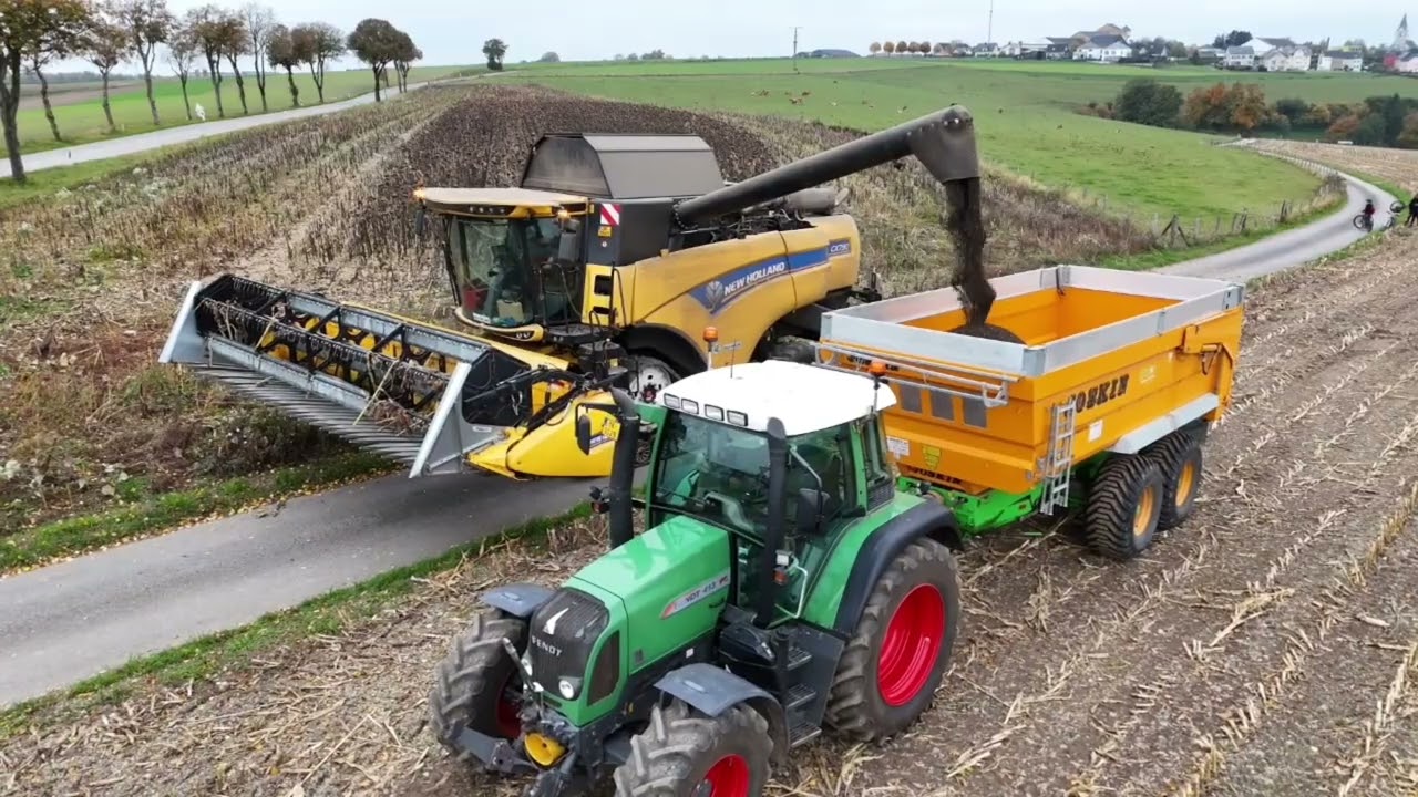 Sonnenblumen Ernte 2025 🚜🌾🔥