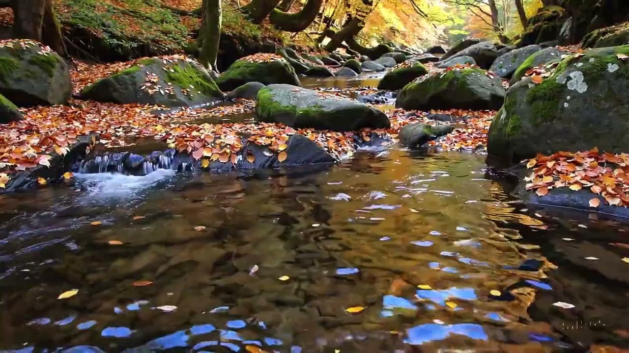 Calming Water Sounds and Piano: Finding Tranquility in Times of War