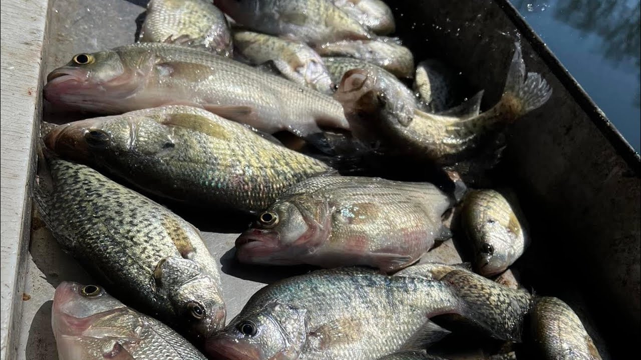 Make dock shooting jigs so easy