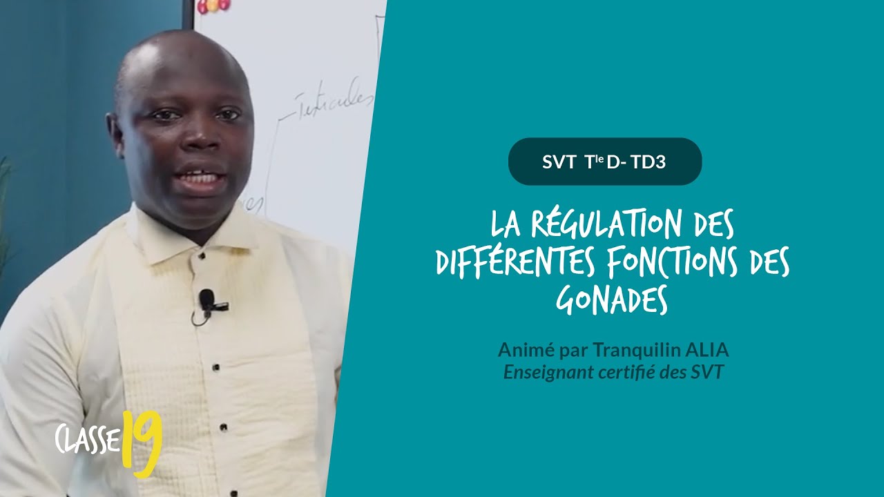 SVT TleD - TD3 : LA RÉGULATION DES DIFFÉRENTES FONCTIONS DES GONADES - CLASSE19