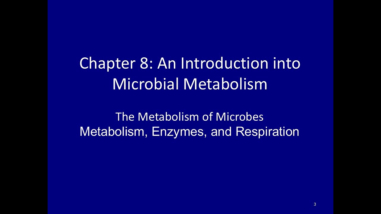 Metabolism, Enzymes, and Respiration - Microbiology Lecture 3 FA2025