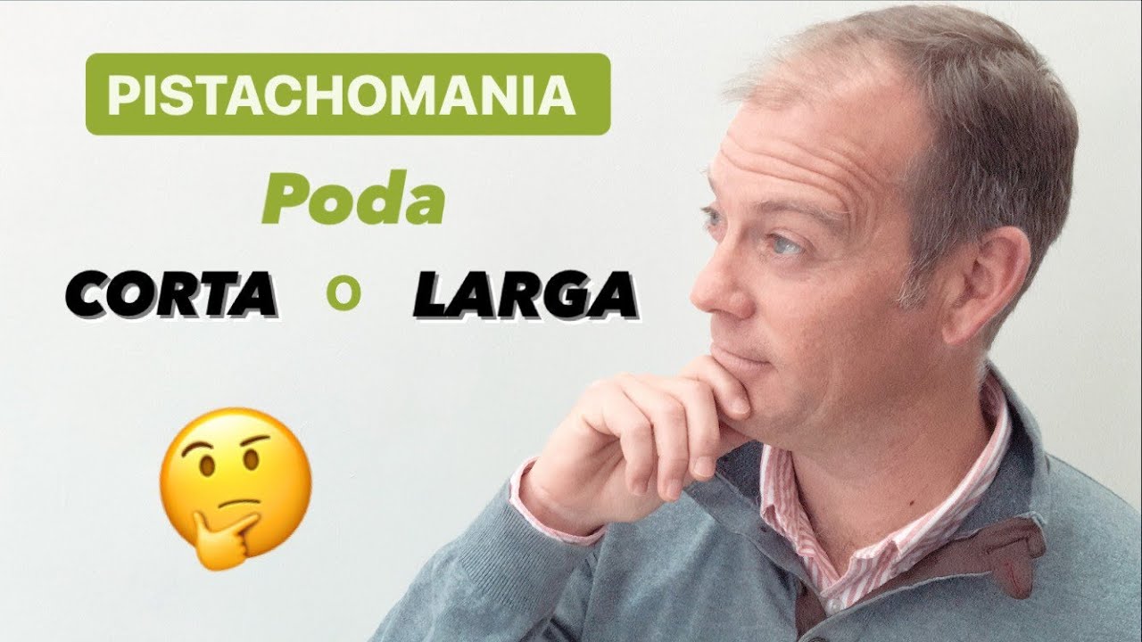 ✂💚PODA del PISTACHO: Corta o Larga, toca elegir!!!