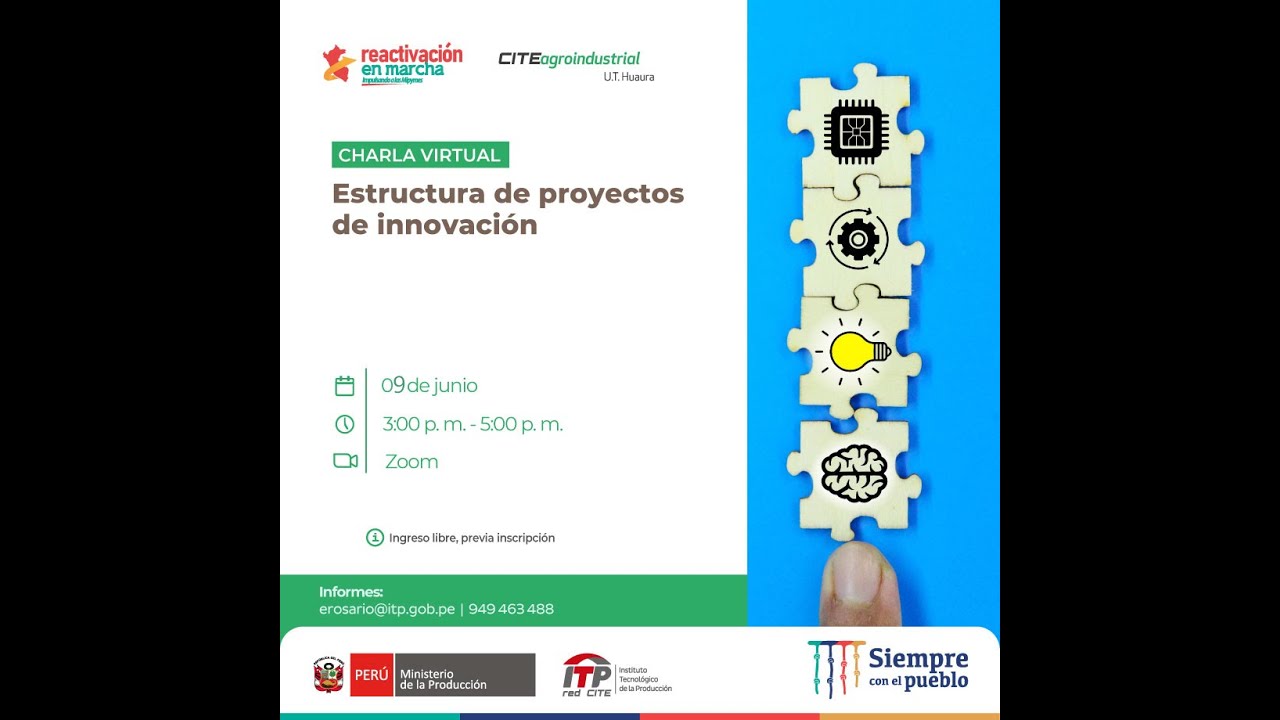 ESTRUCTURA DE PROYECTOS DE INNOVACION