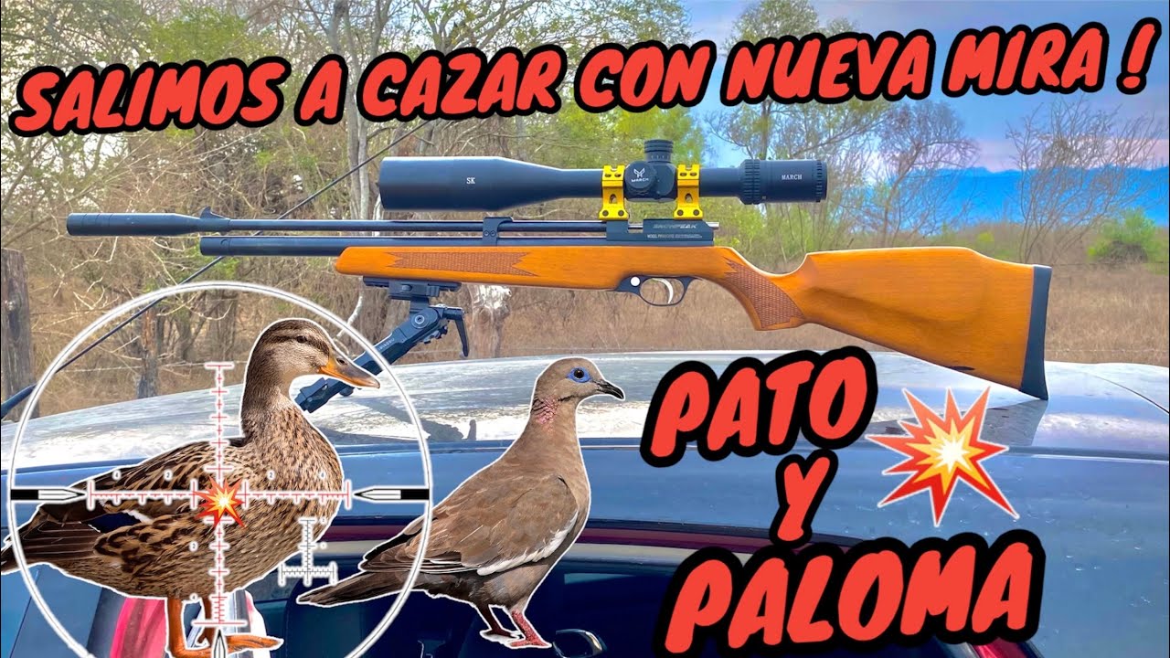 DEMASIADO BUENO ‼️ Salimos de caceria con la nueva mira march 5-25x50 en el Aztk V raptor - pr900