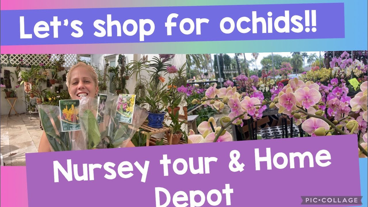Let’s shop for orchids! Nursery tour and Home Depot. Haul next!!