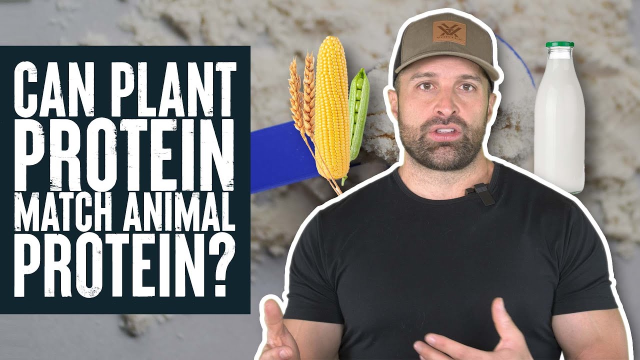 Can Plant Protein Match Animal Protein? | Educational Video | Biolayne
