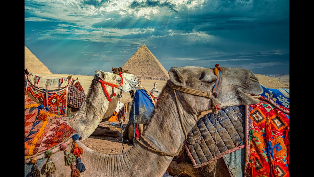 2019 Egypt & Jordan