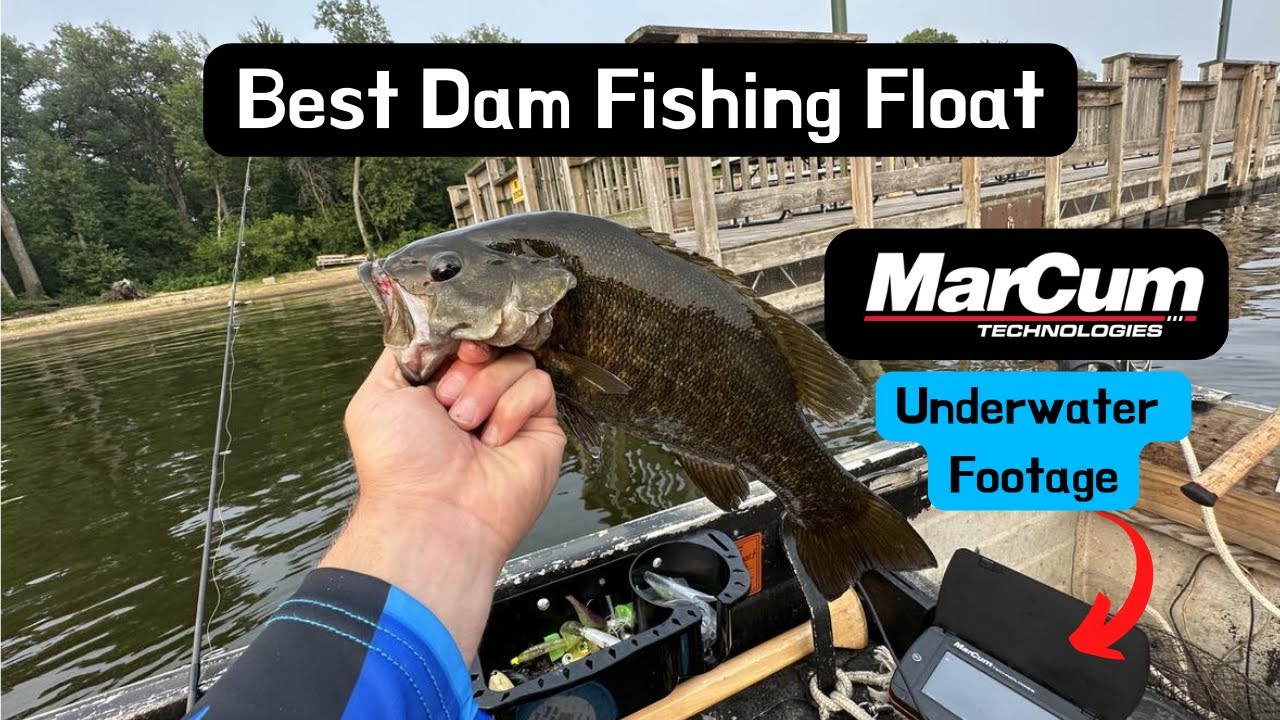 What's Swimming Around Below the Best Dam Fishing Float? UNDERWATER FOOTAGE