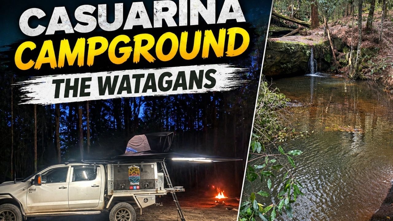 Casuarina Campground, The Watagans