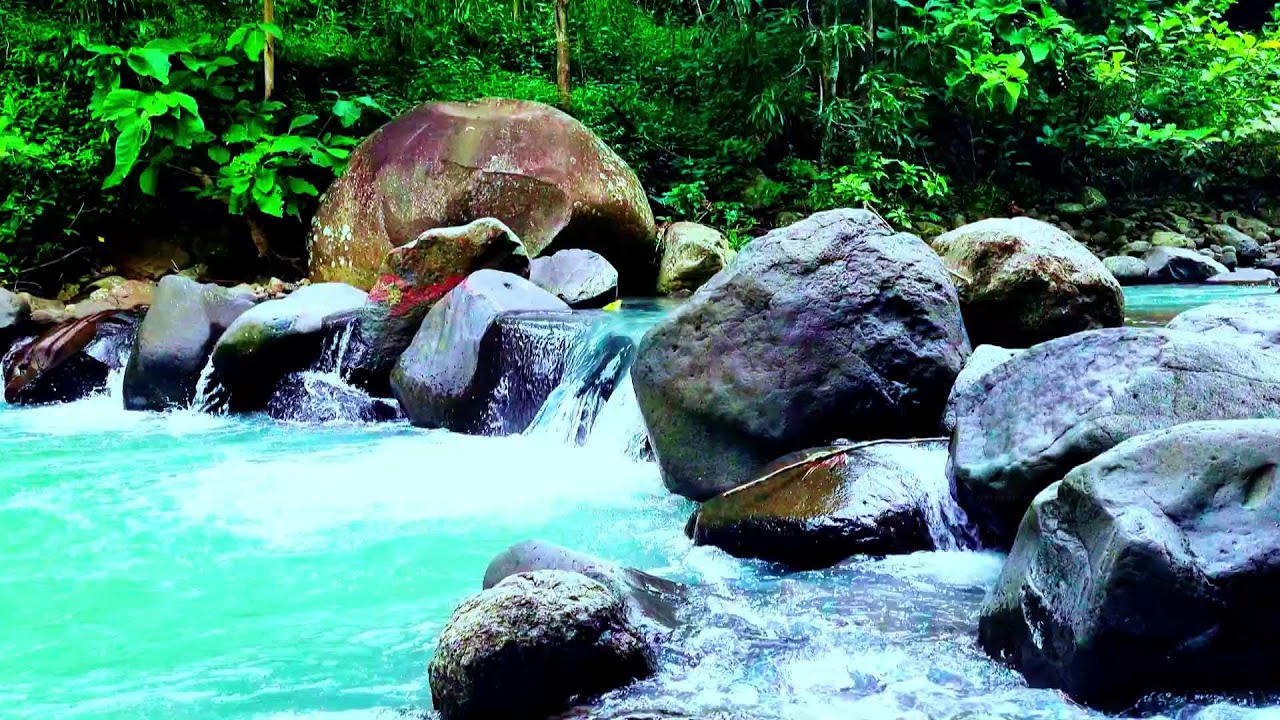 Serene River & Bird ASMR - Nature’s White Noise for Sleep, Studying, and Meditation