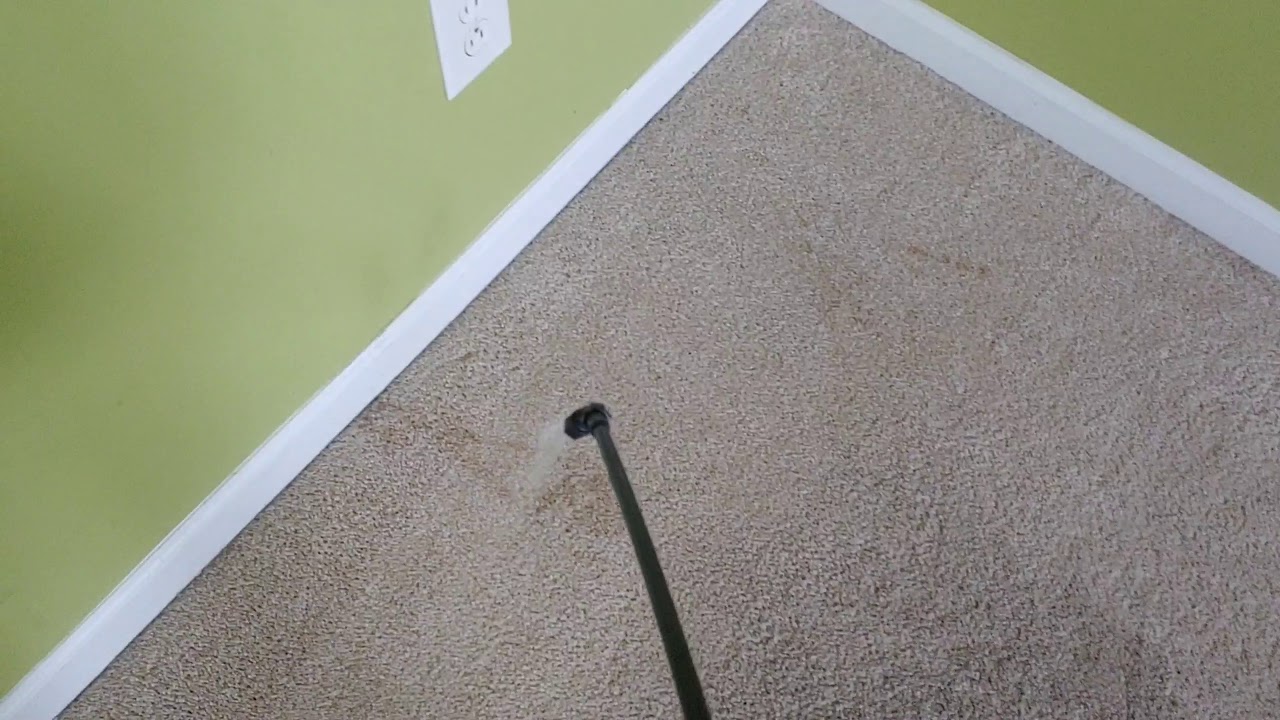 Can These Carpets Look Brand New Again? | Hot Water Extraction
