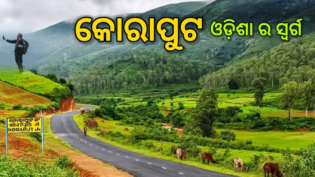 KORAPUT DISTRICT INFORMATION | KORAPUT CITY | KORAPUT ODISHA | HISTORY OF KORAPUT | KORAPUT