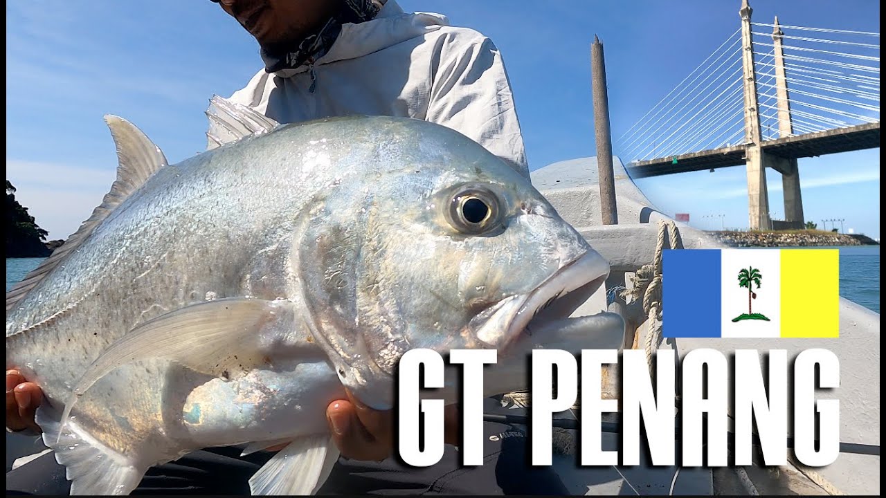 EKSPLORASI SALTWATER FLY FISHING DI PERAIRAN PULAU PINANG (VOL1)  27 DECEMBER 2021
